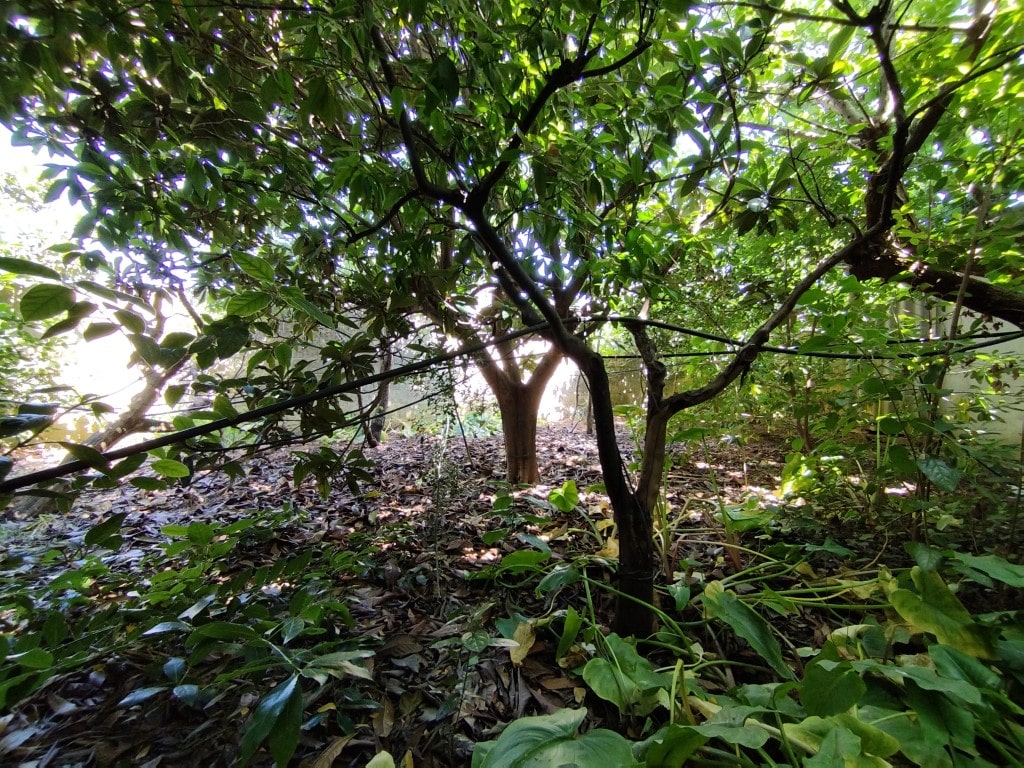 Giano Group Immobiliare